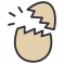 Egg Shell Mosaic